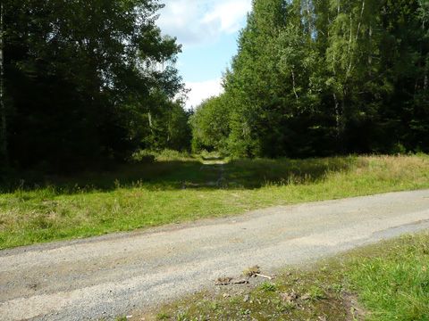 Foto 97